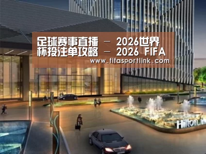 案例展示二