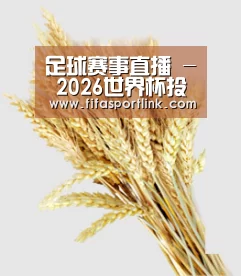 足球赛事直播 - 2026世界杯投注单攻略 - 2026 FIFA World Cup中国平台