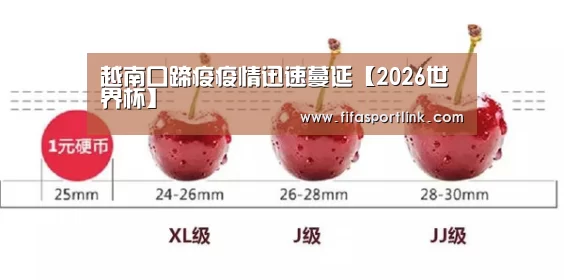世界杯买球网站