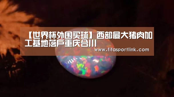 【世界杯外围买球】西部最大猪肉加工基地落户重庆合川(图2) 世界杯买球网站