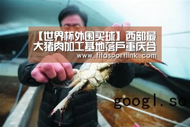 【世界杯外围买球】西部最大猪肉加工基地落户重庆合川(图3) 世界杯投注