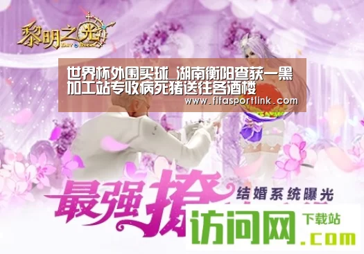 世界杯投注