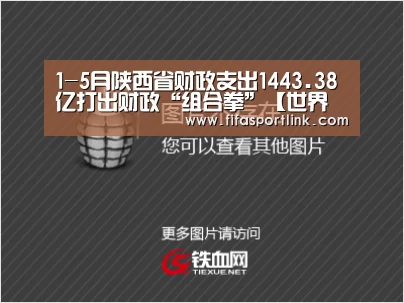 1-5月陕西省财政支出1443.38亿打出财政“组合拳”【世界杯投注】(图1) 世界杯外围买球