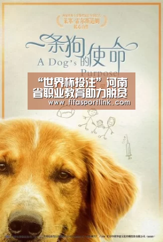 “世界杯投注”河南省职业教育助力脱贫攻坚工作推进会在郑州召开(图1) 2026世界杯