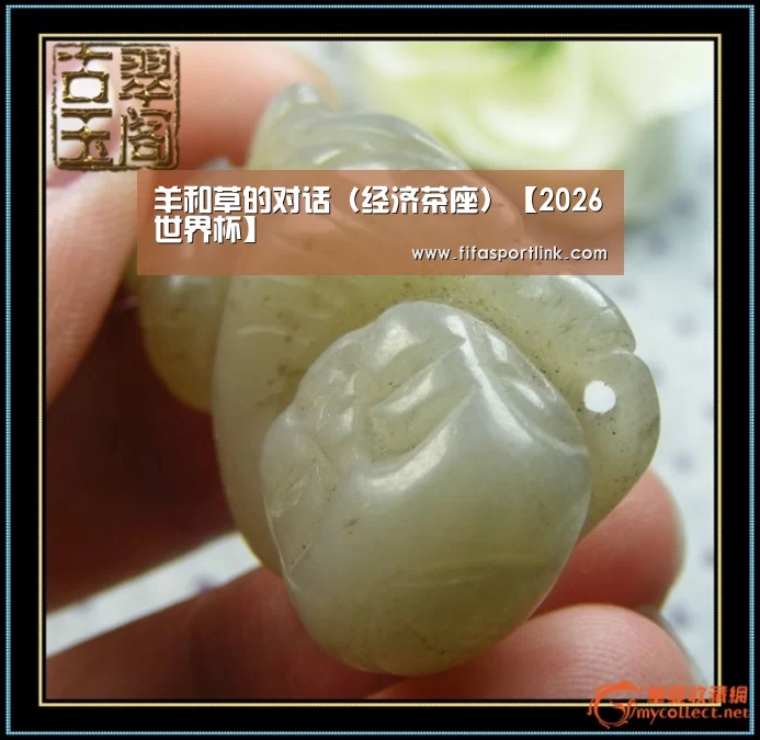 世界杯买球网站