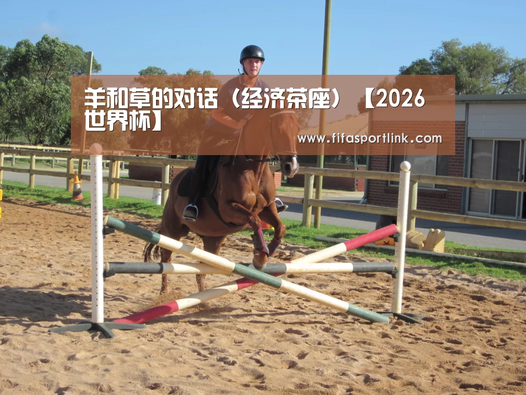 世界杯外围买球