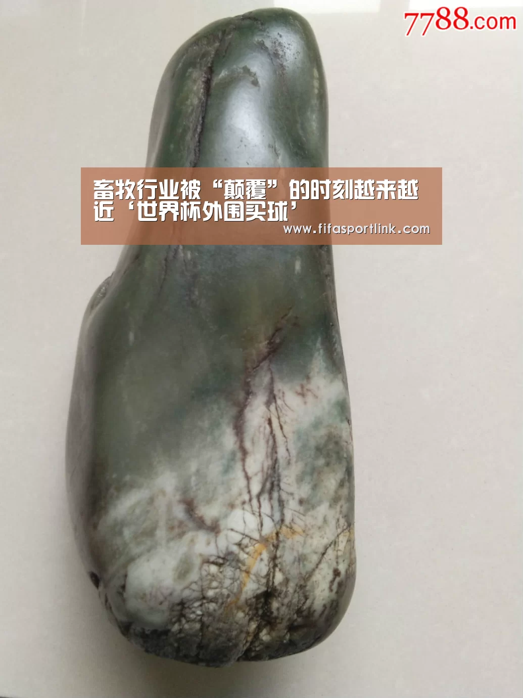 畜牧行业被“颠覆”的时刻越来越近‘世界杯外围买球’(图4) 世界杯投注