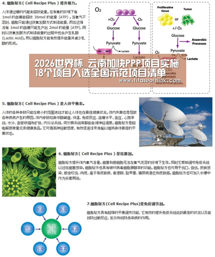 2026世界杯_云南加快PPP项目实施18个项目入选全国示范项目清单(图3) 世界杯投注