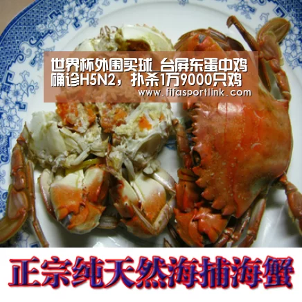 世界杯外围买球_台屏东蛋中鸡确诊H5N2,扑杀1万9000只鸡(图3) 世界杯投注