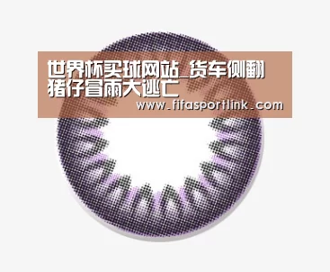 世界杯买球网站