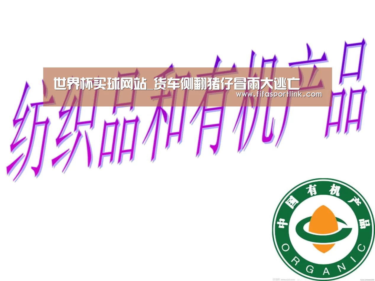 2026世界杯