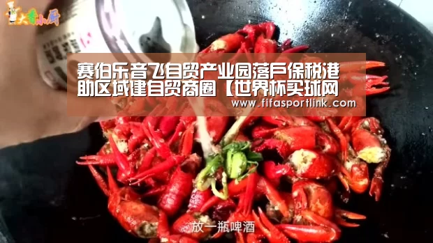 赛伯乐音飞自贸产业园落户保税港助区域建自贸商圈【世界杯买球网站】(图4) 世界杯外围买球
