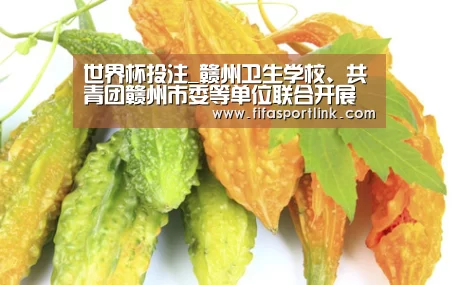 世界杯投注_赣州卫生学校、共青团赣州市委等单位联合开展“手拉手 一家亲”赣州与西藏青少年交流联谊活动(图2) 世界杯买球网站