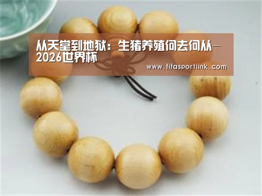 从天堂到地狱:生猪养殖何去何从-2026世界杯(图1) 世界杯买球网站