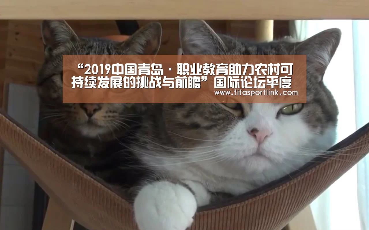 “2019中国青岛·职业教育助力农村可持续发展的挑战与前瞻”国际论坛平度开幕-世界杯买球网站(图1) 世界杯买球网站