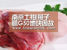 南京土拍|燕子矶G50地块因故取消出让 汤山G55地块流标【世界杯买球网站】(图4) 2026世界杯