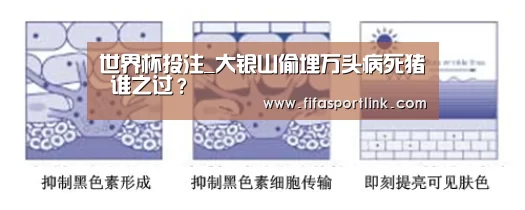 世界杯买球网站