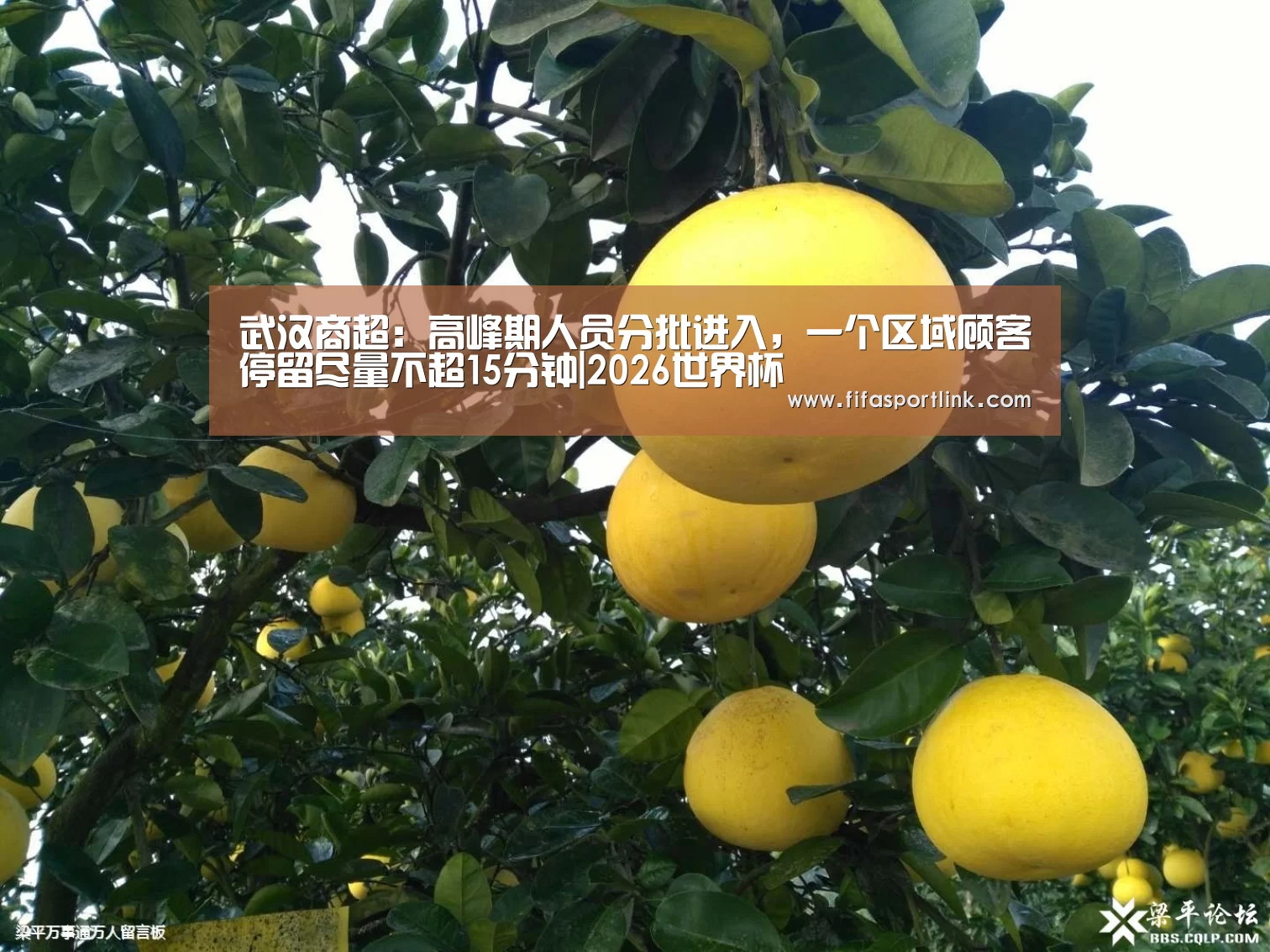 武汉商超:高峰期人员分批进入,一个区域顾客停留尽量不超15分钟|2026世界杯(图2) 世界杯外围买球