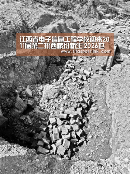 江西省电子信息工程学校迎来2011届第二批西藏班新生|2026世界杯(图1) 世界杯买球网站